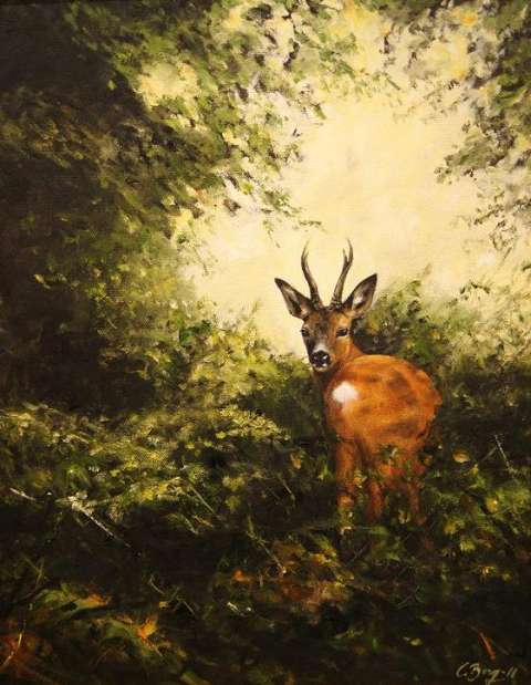 R�bock i sn�rskog -2011, 46x55 