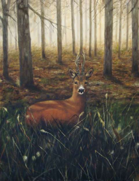 R�bock -2009, 59x72