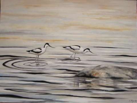 Sk�rfl�ckor -2011, 80x60