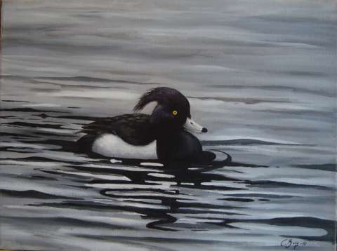 Knipa -2011, 40x30