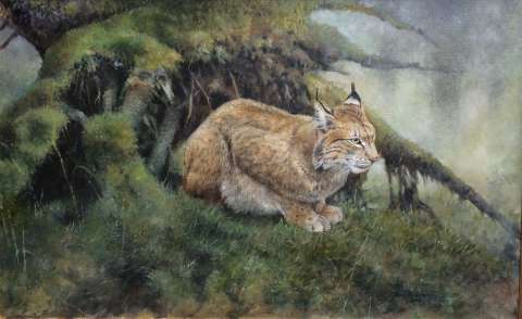Lobjur/Lynx
