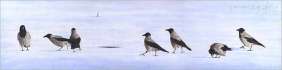 Sju kråkor på isen/Seven Crows On the Ice